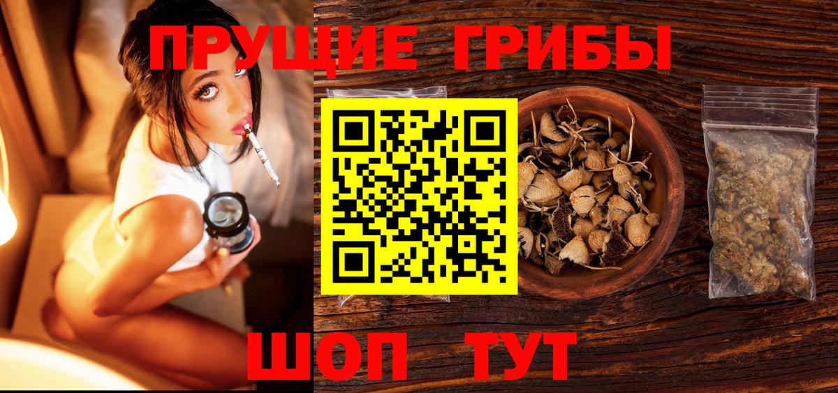 Старая Купавна  Галлюциногенные грибы мицелий  Псилоцибиновые грибы Magic Shrooms  Вход с VPN 